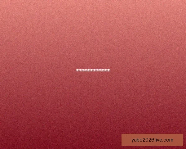 美加墨世界杯举办城市发展与文化交流的全景观察