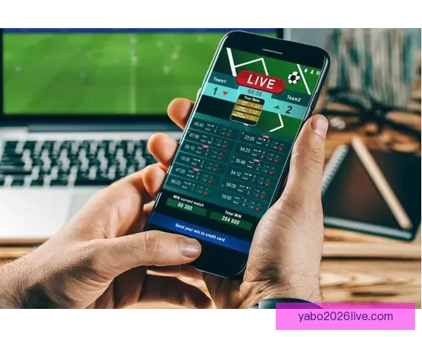 世界杯竞猜网站大全推荐安全热门平台实时赔率指南新手必看权威汇总